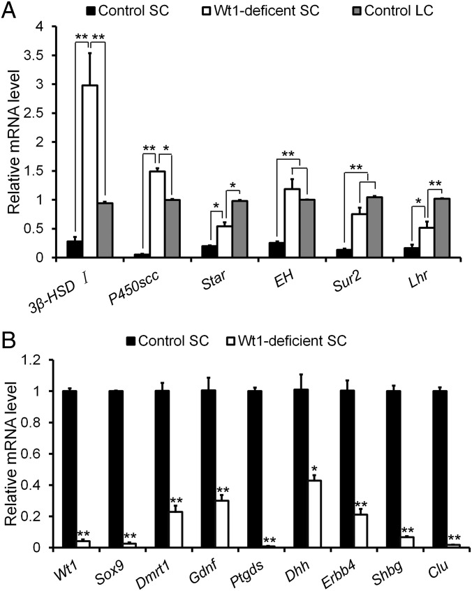 An external file that holds a picture, illustration, etc.
Object name is pnas.1422371112fig05.jpg