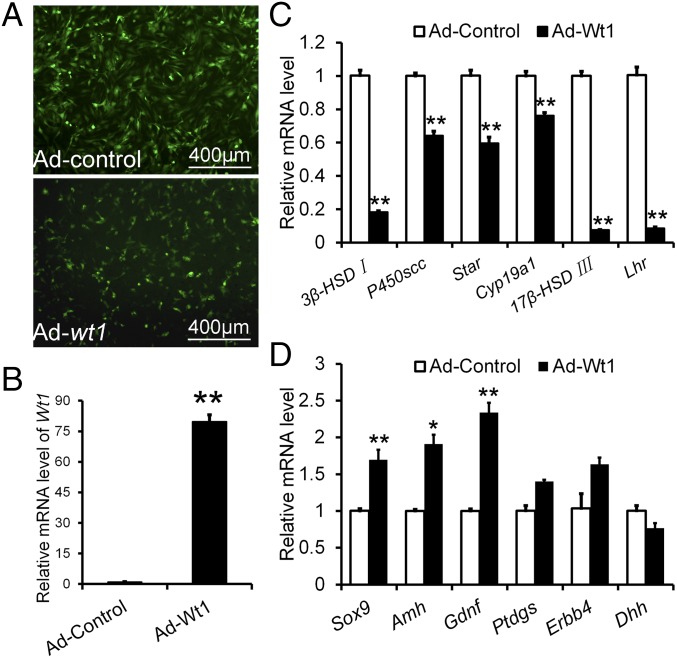 An external file that holds a picture, illustration, etc.
Object name is pnas.1422371112fig06.jpg