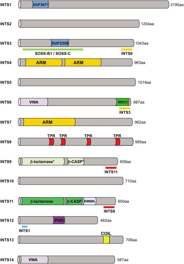 An external file that holds a picture, illustration, etc.
Object name is nihms673406f1.jpg