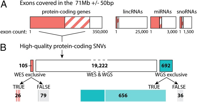 An external file that holds a picture, illustration, etc.
Object name is pnas.1418631112fig02.jpg