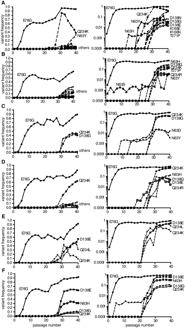 An external file that holds a picture, illustration, etc.
Object name is ppat.1004838.g003.jpg