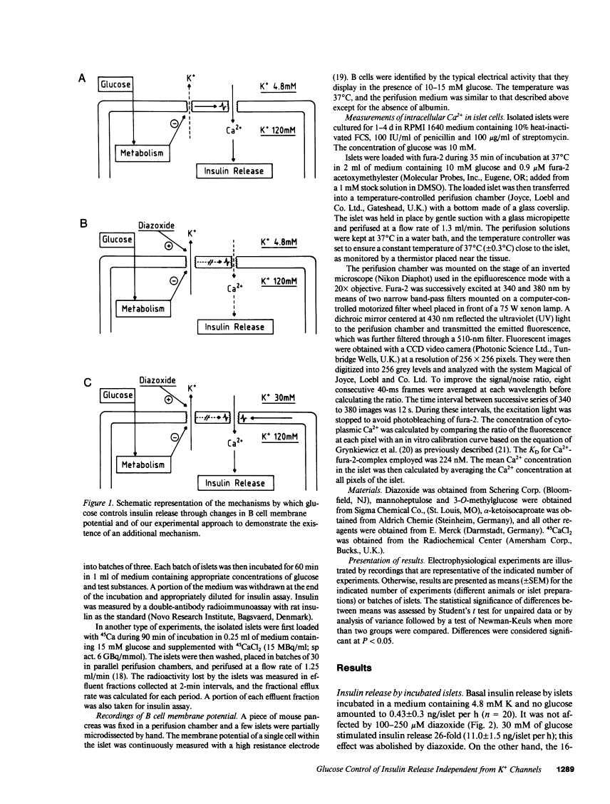 icon of scanned page 1289