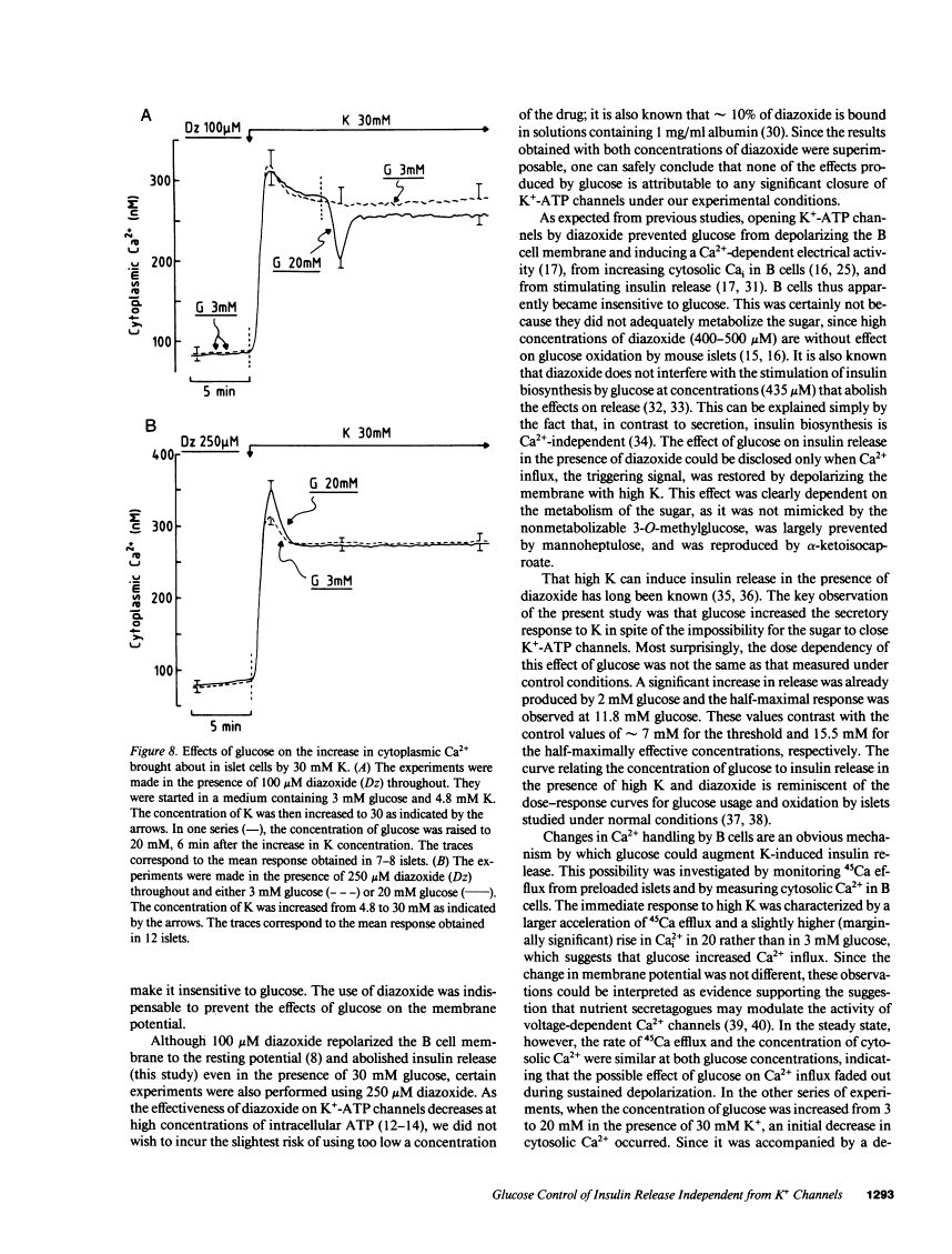 icon of scanned page 1293