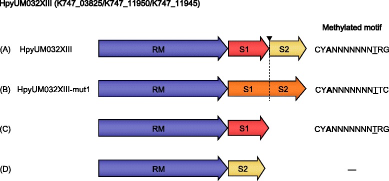 An external file that holds a picture, illustration, etc.
Object name is 12864_2015_1585_Fig1_HTML.jpg