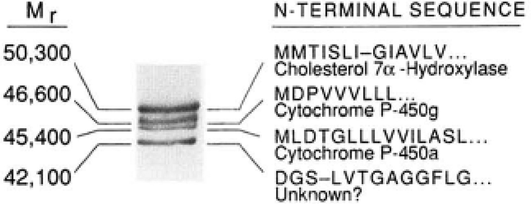 An external file that holds a picture, illustration, etc.
Object name is nihms692767f4.jpg