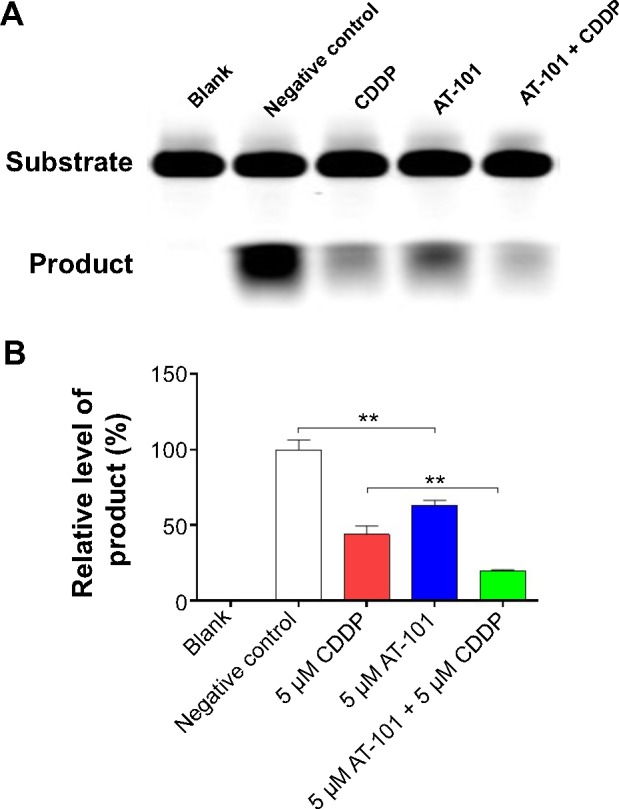 An external file that holds a picture, illustration, etc.
Object name is dddt-9-2887Fig10.jpg