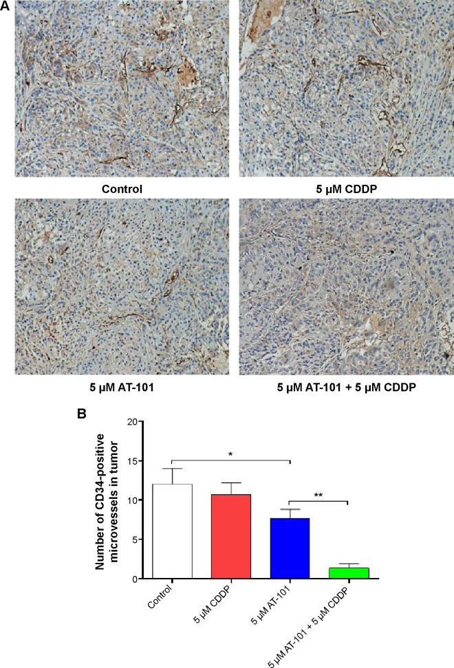 An external file that holds a picture, illustration, etc.
Object name is dddt-9-2887Fig12.jpg