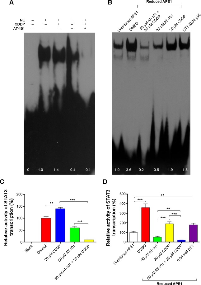 An external file that holds a picture, illustration, etc.
Object name is dddt-9-2887Fig8.jpg