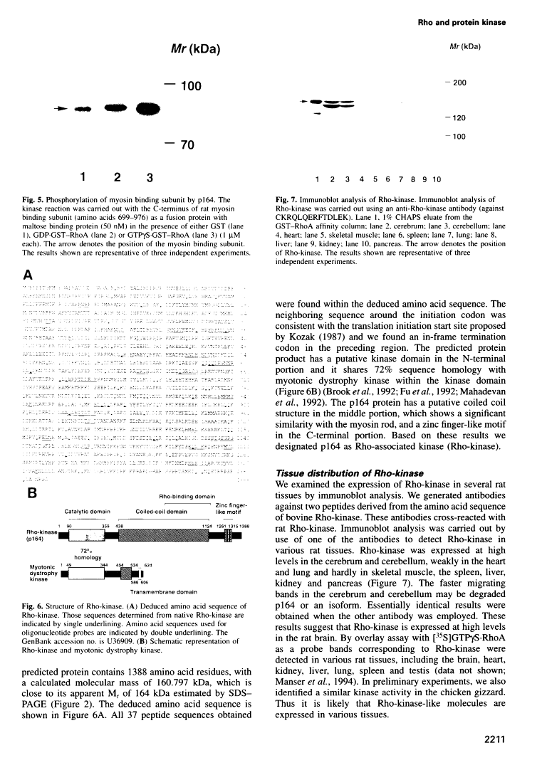 icon of scanned page 2211