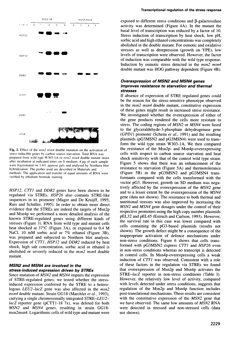 icon of scanned page 2229