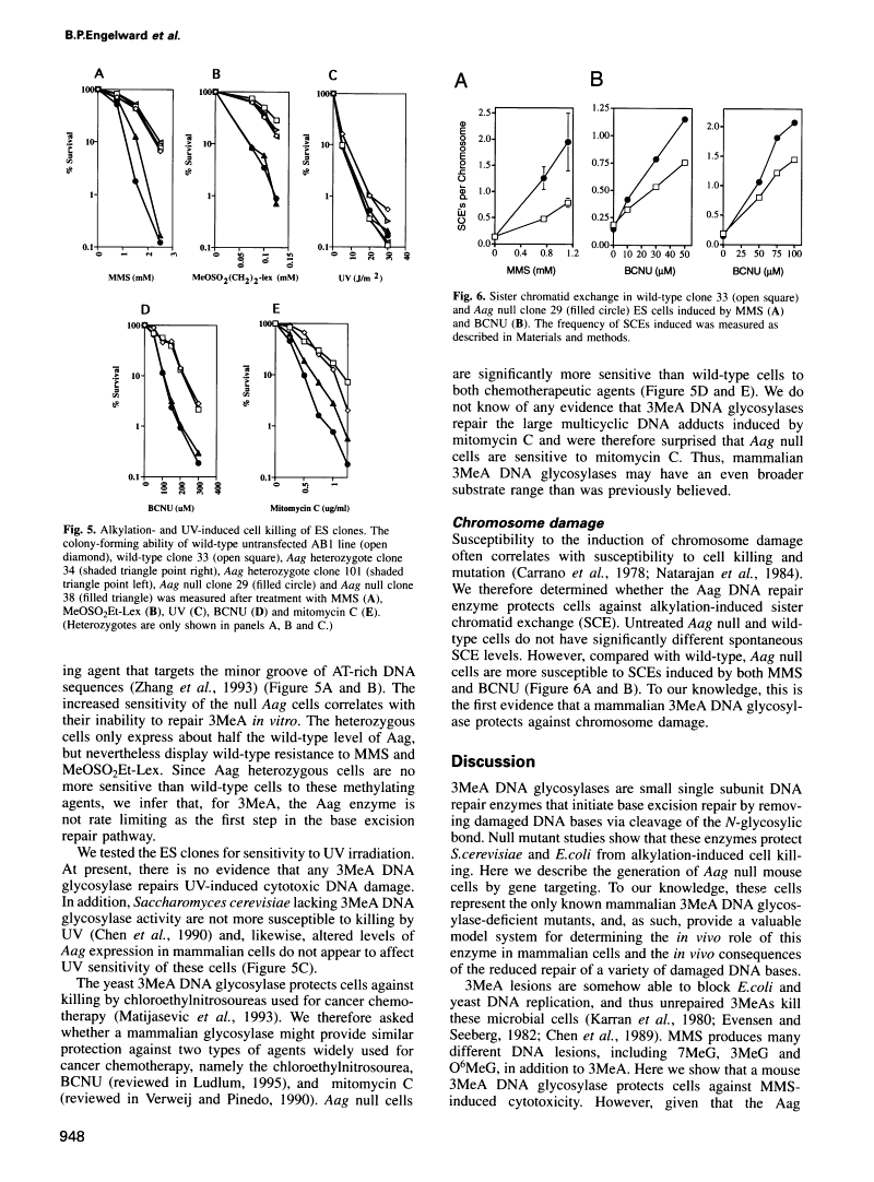 icon of scanned page 948