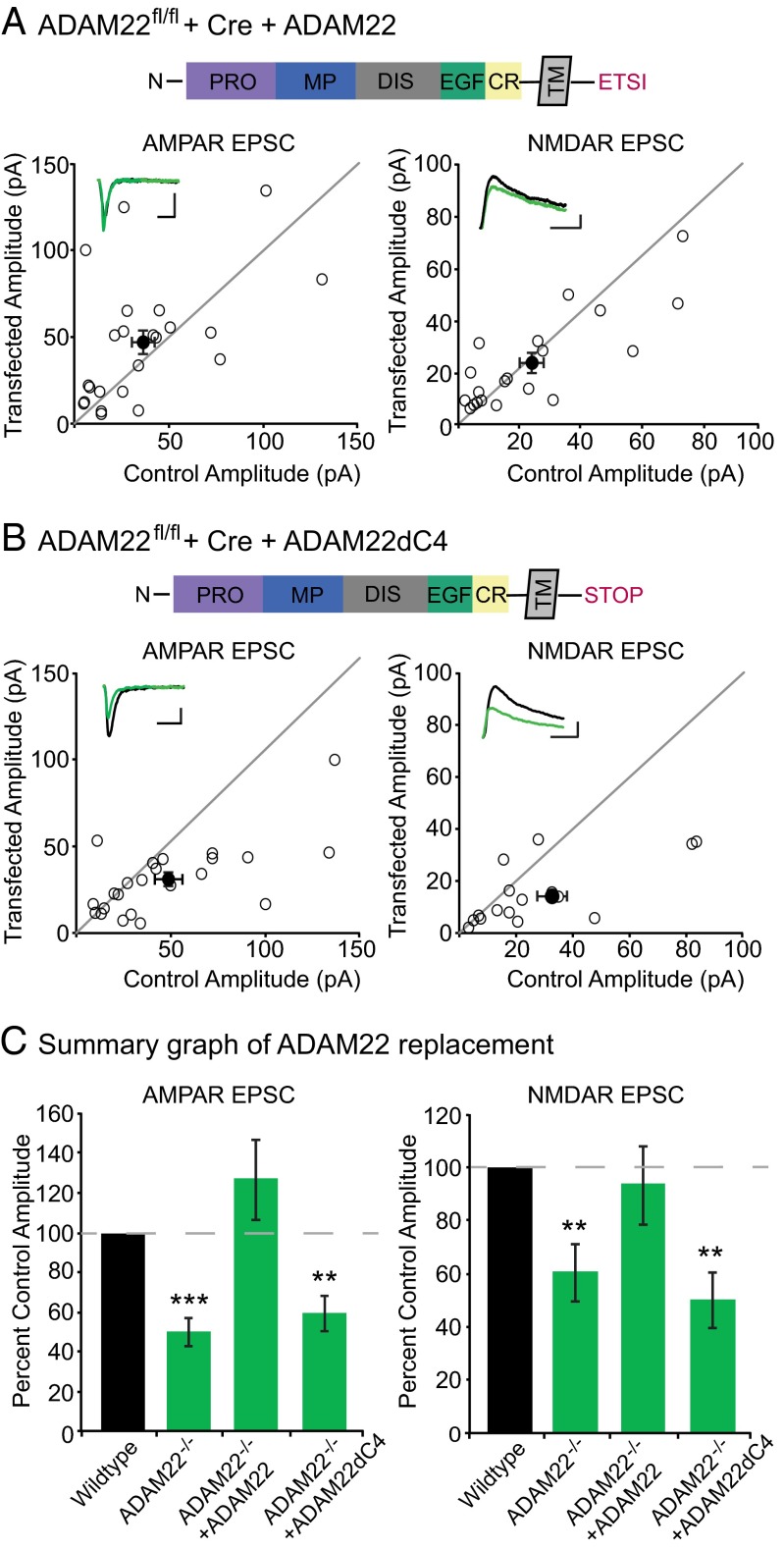 An external file that holds a picture, illustration, etc.
Object name is pnas.1511910112fig04.jpg