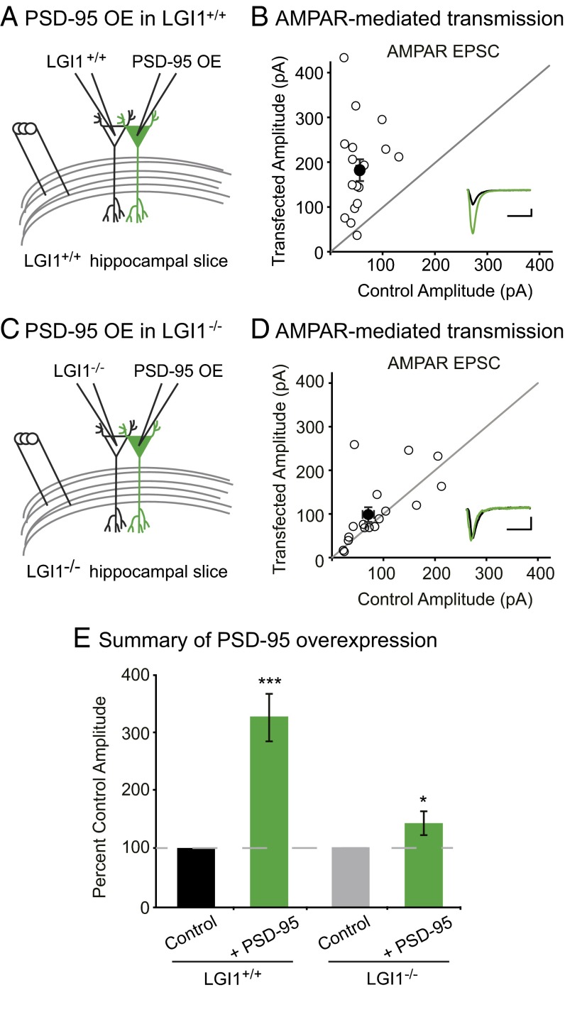 An external file that holds a picture, illustration, etc.
Object name is pnas.1511910112fig05.jpg