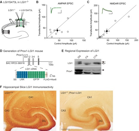 An external file that holds a picture, illustration, etc.
Object name is pnas.1511910112sfig02.jpg