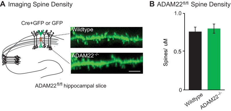 An external file that holds a picture, illustration, etc.
Object name is pnas.1511910112sfig03.jpg