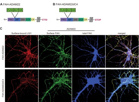 An external file that holds a picture, illustration, etc.
Object name is pnas.1511910112sfig04.jpg