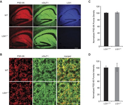 An external file that holds a picture, illustration, etc.
Object name is pnas.1511910112sfig07.jpg