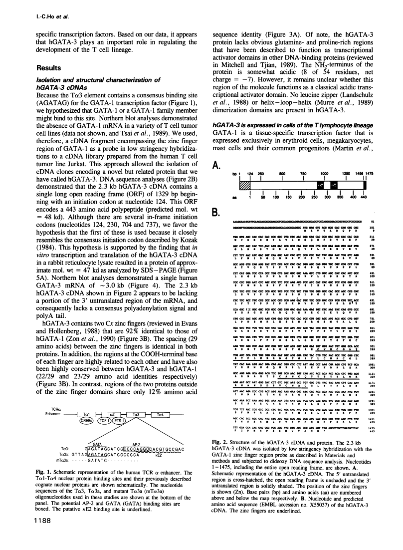 icon of scanned page 1188