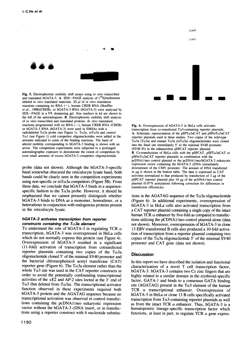 icon of scanned page 1190