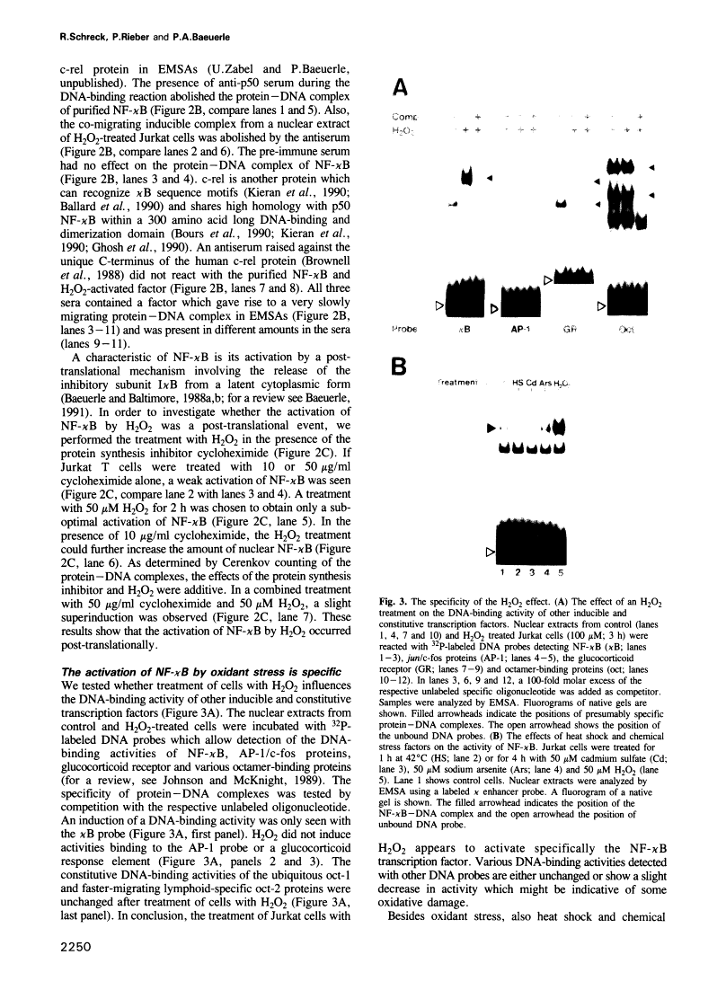 icon of scanned page 2250