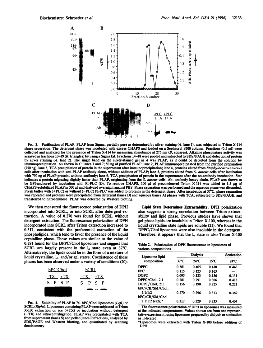 icon of scanned page 12133