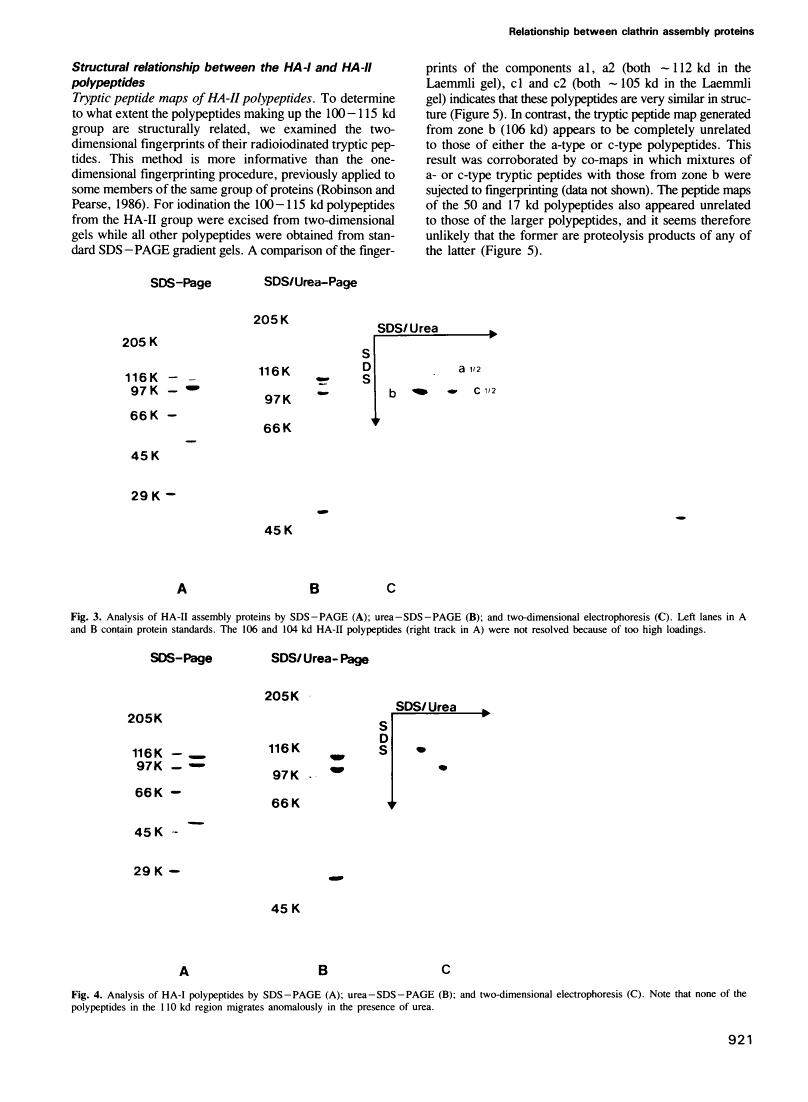 icon of scanned page 921