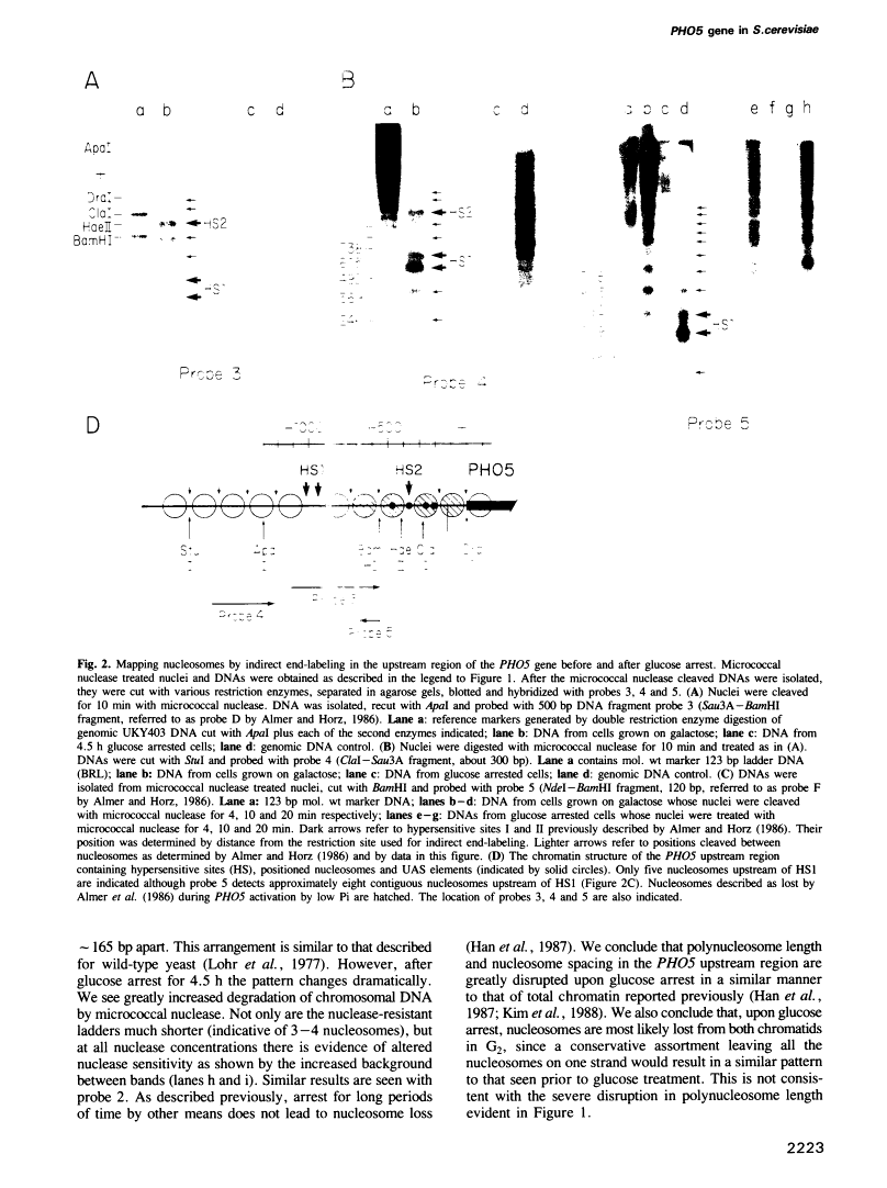 icon of scanned page 2223