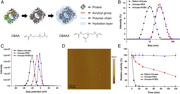 An external file that holds a picture, illustration, etc.
Object name is pnas.1512465112fig01.jpg