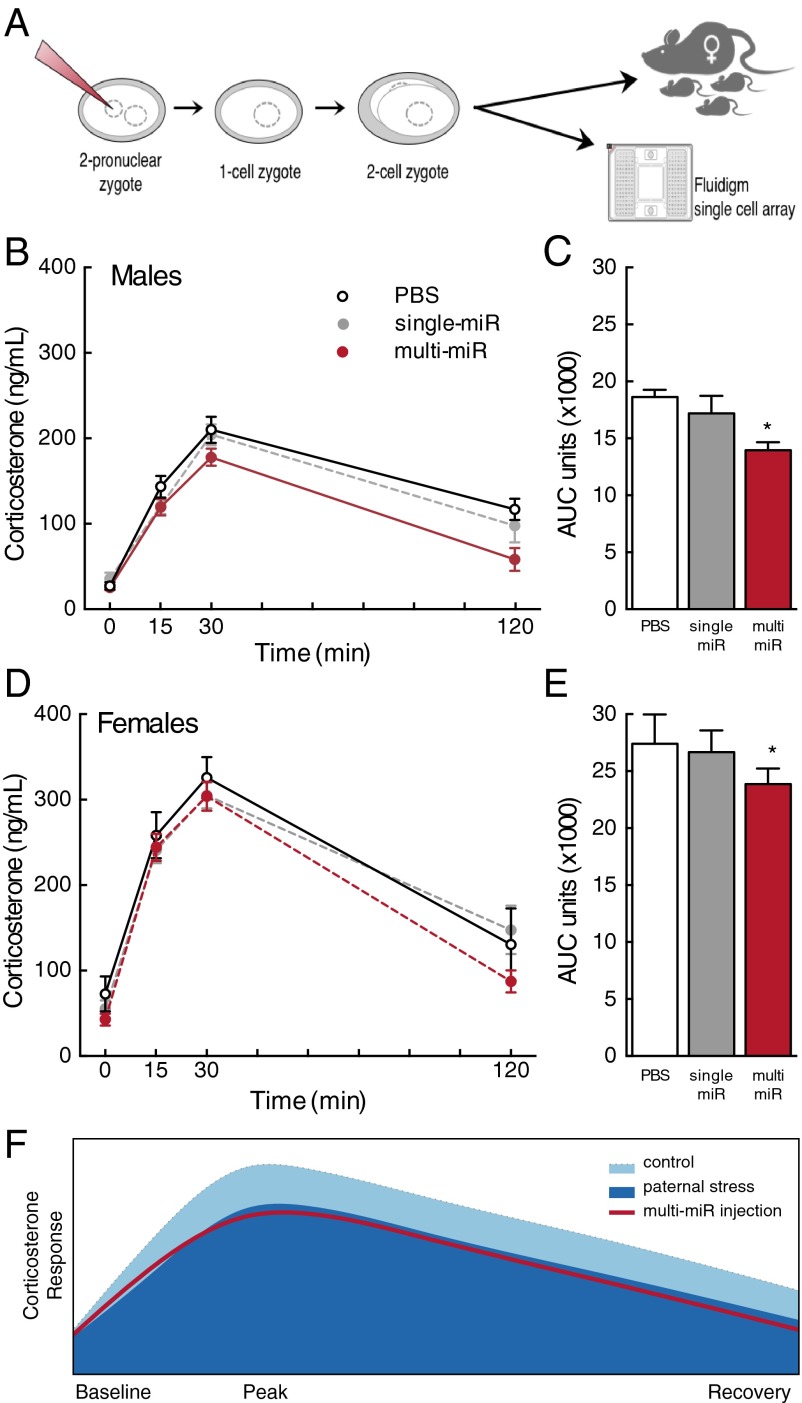 An external file that holds a picture, illustration, etc.
Object name is pnas.1508347112fig01.jpg