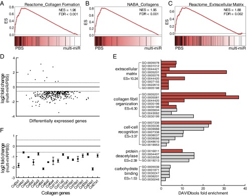 An external file that holds a picture, illustration, etc.
Object name is pnas.1508347112fig02.jpg