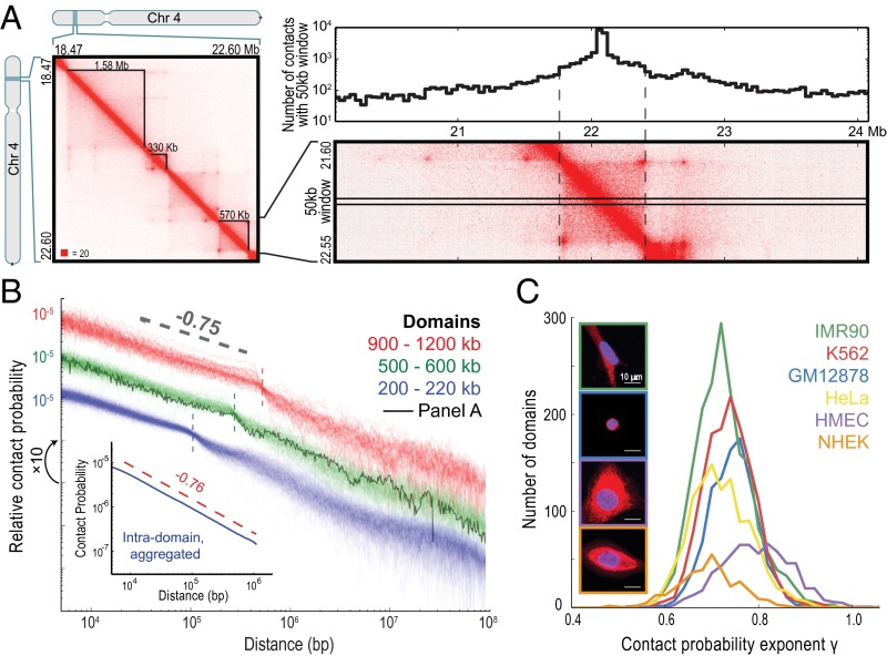 An external file that holds a picture, illustration, etc.
Object name is pnas.1518552112fig02.jpg