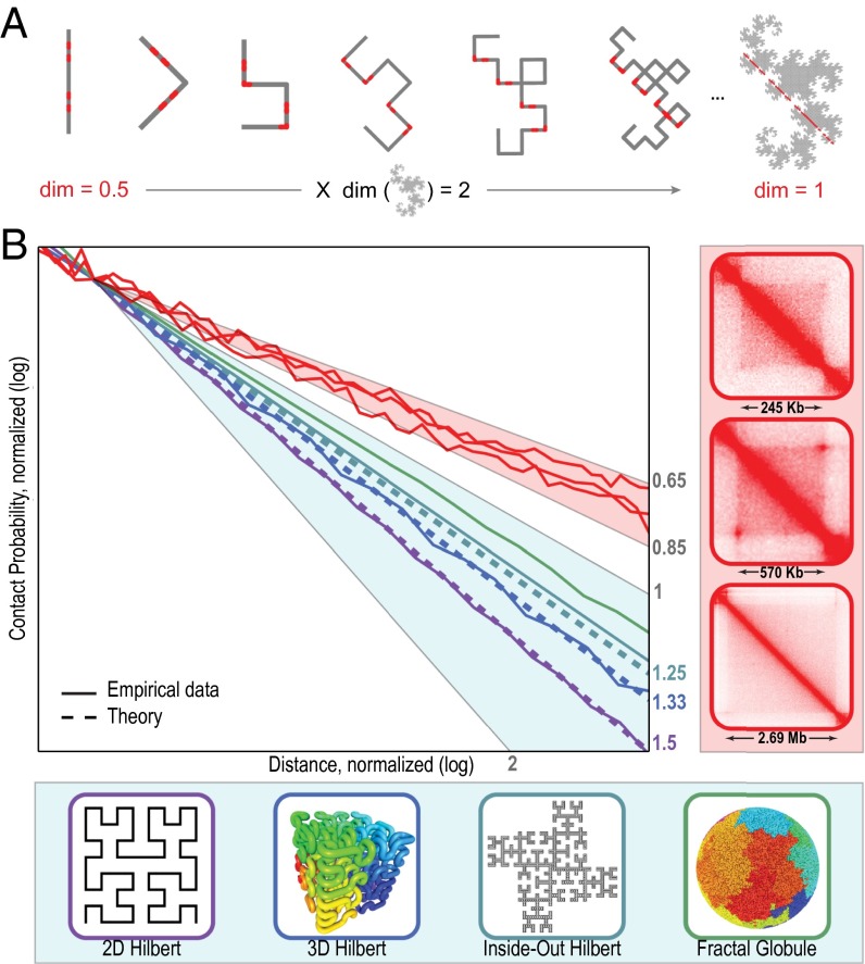 An external file that holds a picture, illustration, etc.
Object name is pnas.1518552112fig03.jpg