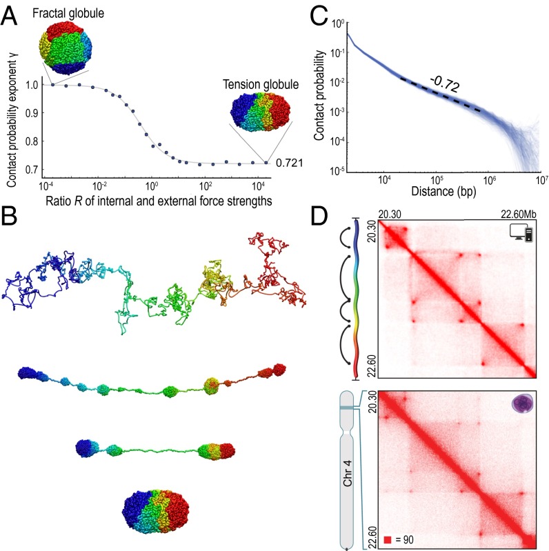 An external file that holds a picture, illustration, etc.
Object name is pnas.1518552112fig04.jpg