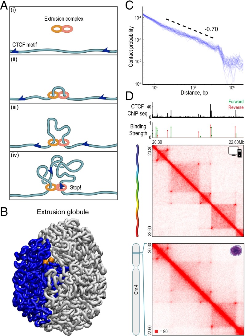 An external file that holds a picture, illustration, etc.
Object name is pnas.1518552112fig05.jpg