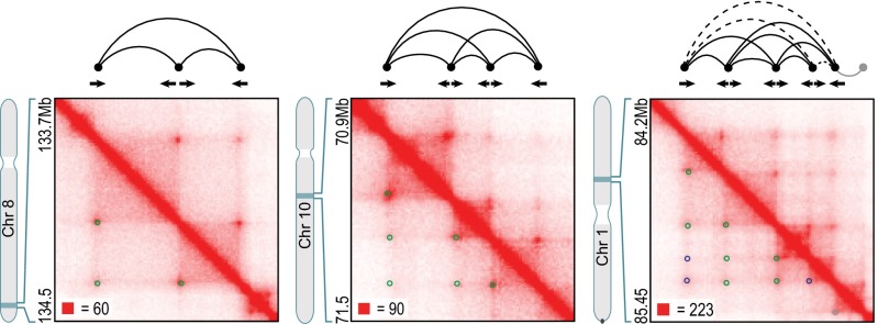 An external file that holds a picture, illustration, etc.
Object name is pnas.1518552112fig06.jpg