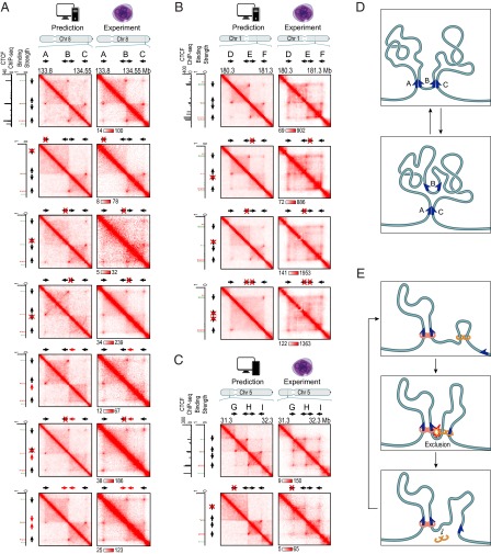 An external file that holds a picture, illustration, etc.
Object name is pnas.1518552112fig07.jpg