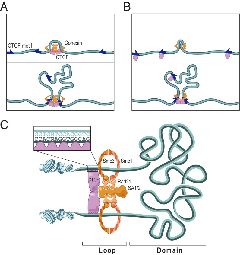 An external file that holds a picture, illustration, etc.
Object name is pnas.1518552112fig08.jpg