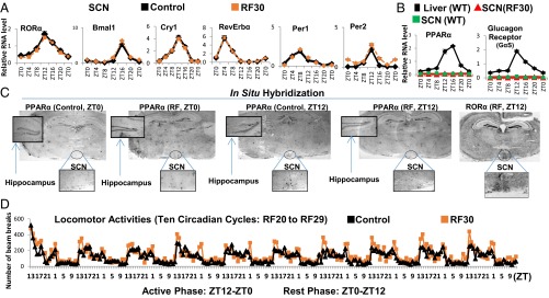 An external file that holds a picture, illustration, etc.
Object name is pnas.1519807112fig02.jpg