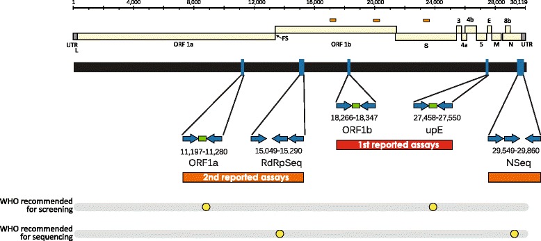 An external file that holds a picture, illustration, etc.
Object name is 12985_2015_439_Fig2_HTML.jpg