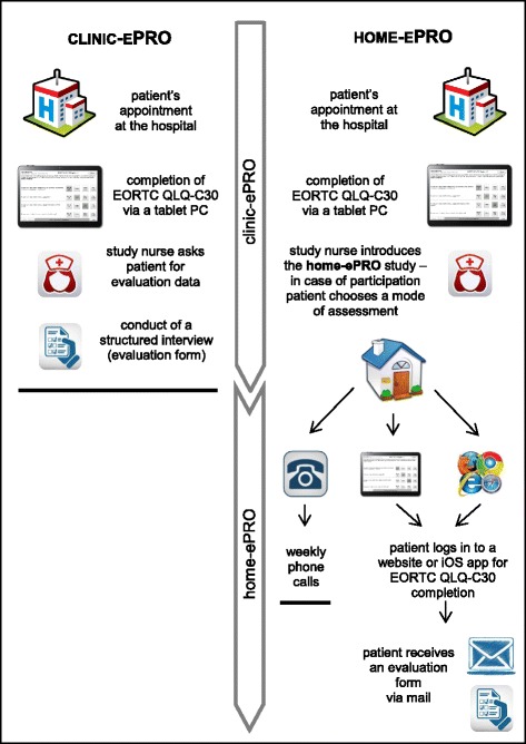 An external file that holds a picture, illustration, etc.
Object name is 12911_2015_230_Fig1_HTML.jpg