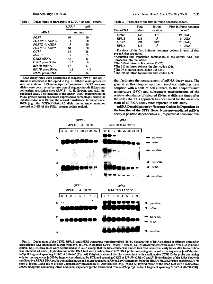 icon of scanned page 7035