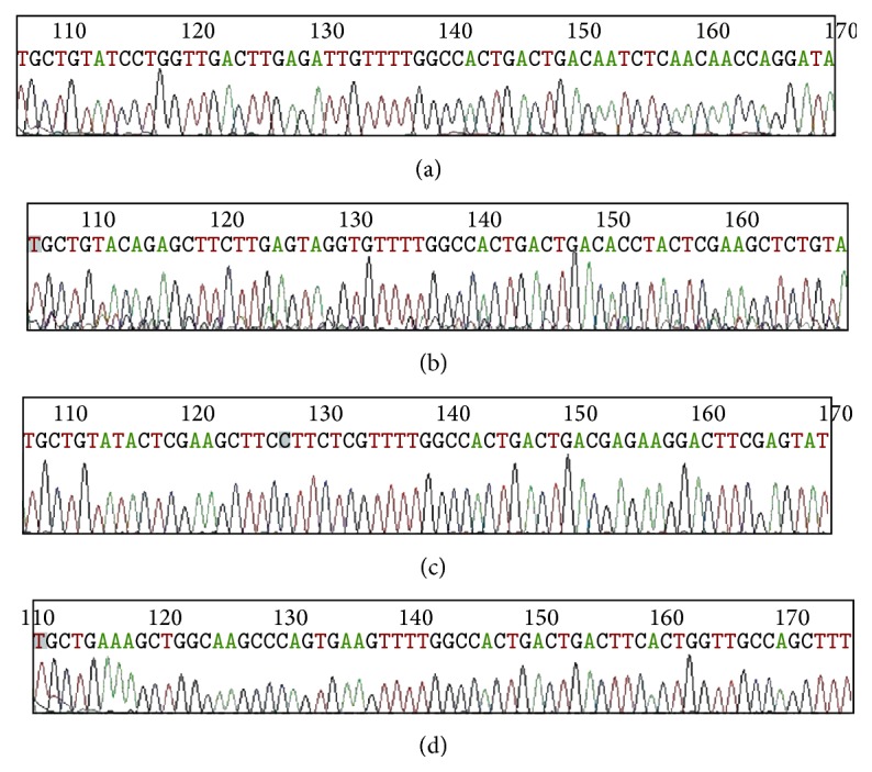 An external file that holds a picture, illustration, etc.
Object name is BMRI2015-241983.002.jpg