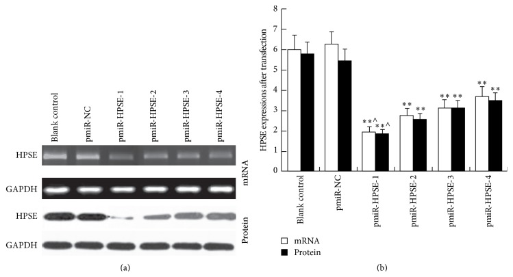 An external file that holds a picture, illustration, etc.
Object name is BMRI2015-241983.004.jpg