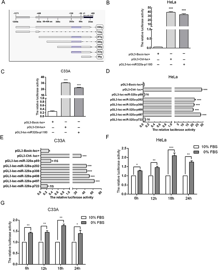 An external file that holds a picture, illustration, etc.
Object name is oncotarget-06-34924-g005.jpg