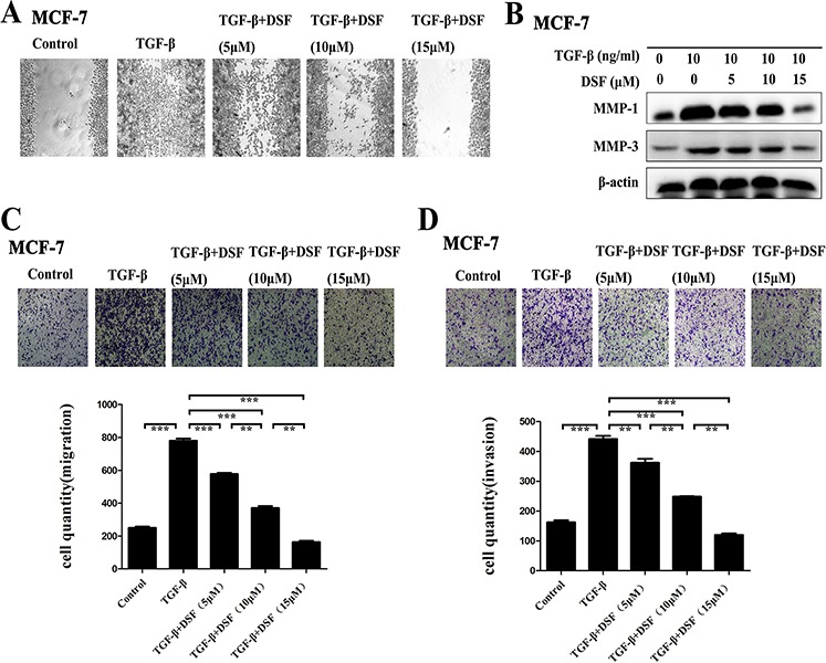 An external file that holds a picture, illustration, etc.
Object name is oncotarget-06-40907-g003.jpg