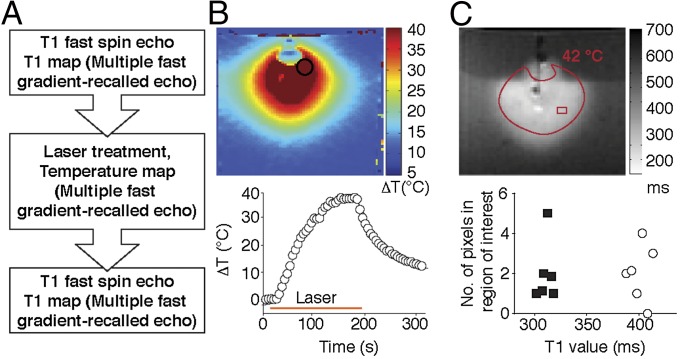 An external file that holds a picture, illustration, etc.
Object name is pnas.1525796113fig03.jpg