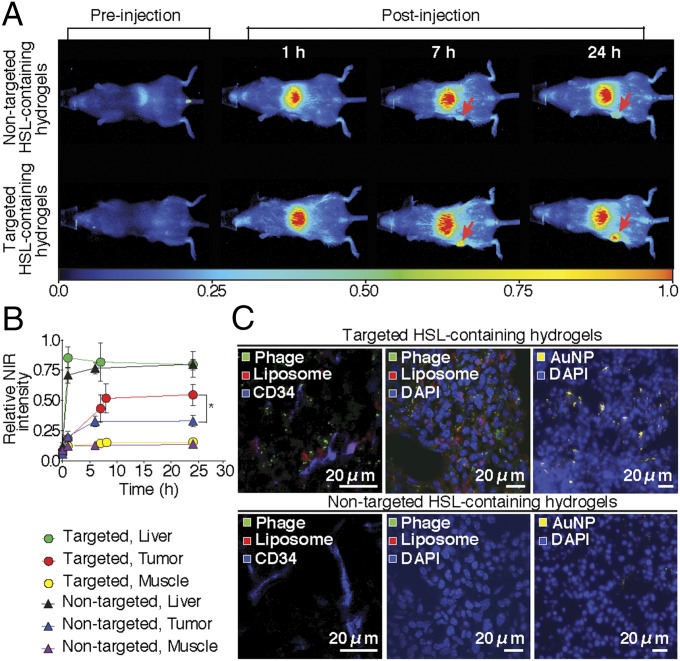 An external file that holds a picture, illustration, etc.
Object name is pnas.1525796113fig05.jpg