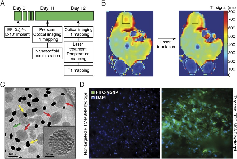 An external file that holds a picture, illustration, etc.
Object name is pnas.1525796113sfig05.jpg