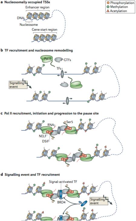 An external file that holds a picture, illustration, etc.
Object name is nihms-759230-f0002.jpg