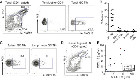 An external file that holds a picture, illustration, etc.
Object name is pnas.1520112113fig02.jpg